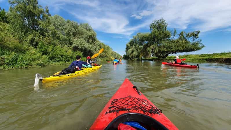 Danube Delta: Mila 23 surroundings kayak tour - 3 hours