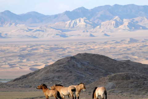Hustai National Park Day Tour Autumn: Standard Departure