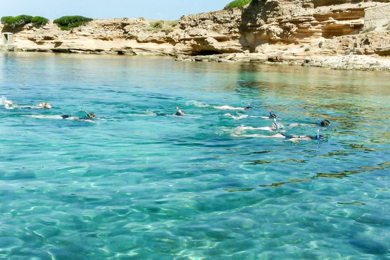 Alcudia: crucero a la playa y faro de Formentor