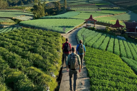 Yogyakarta: Nepal Van Java & Vegetable Village Tour