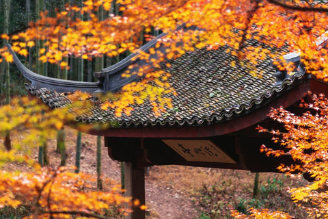 Hangzhou Yunqi Bamboo Trail Admission Ticket