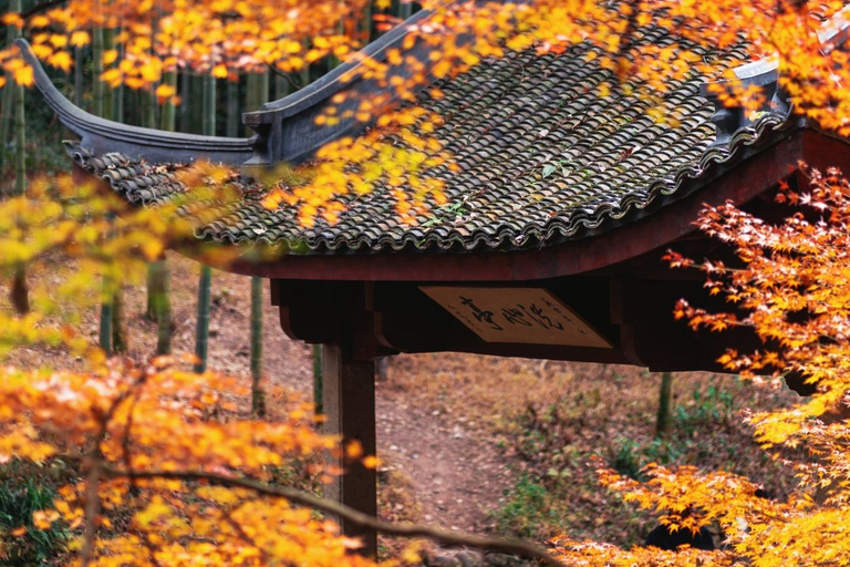 Hangzhou Yunqi Bamboo Trail Admission Ticket