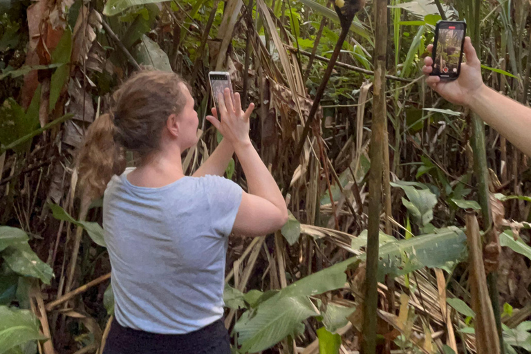 Tambopata: 2 dni i 1 noc - Aventura i jezioro Sandoval