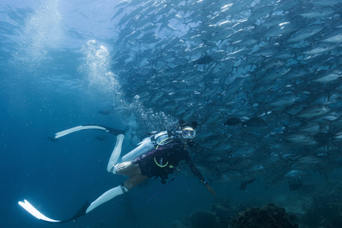 Fisheye Divers: Corso avanzato in acque libere