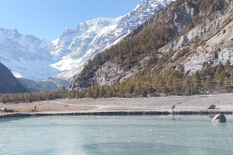 Manang Tilicho Lake 6-Night 7-days Trek and Jeep Tour
