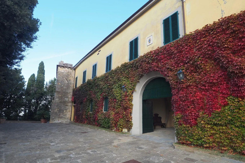 Abbey Tour, Wine Tasting and Light Lunch near Pisa English