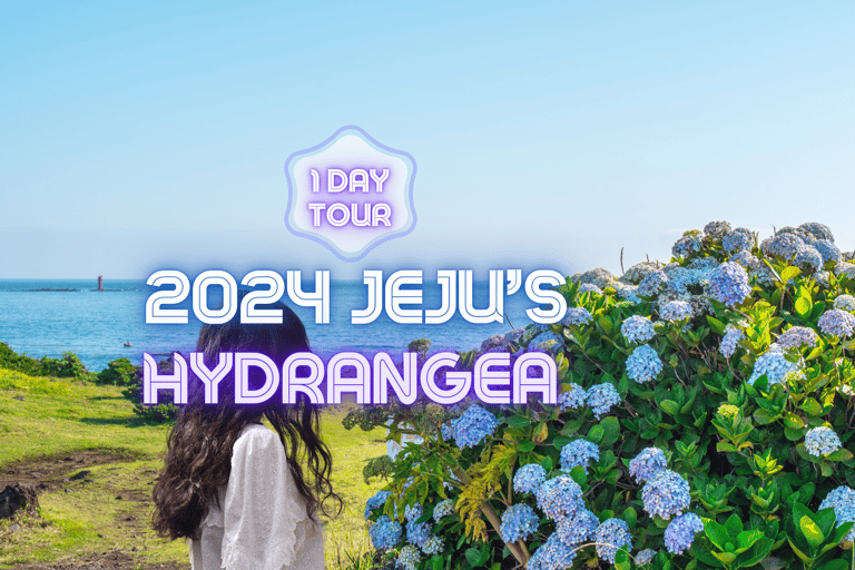 Circuit du festival Hydragea de Jeju : Itinéraire EST