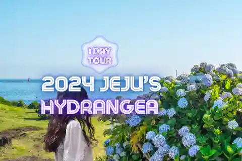 Tour del Jeju Hydragea Festival: Percorso EST