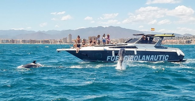 Visit Fuengirola Dolphin Watching by Yacht with Snacks and Drinks in Fuengirola