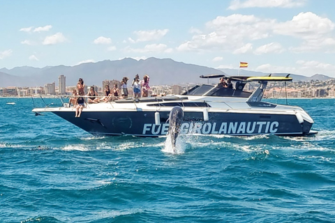 Fuengirola: Obserwacja delfinów jachtem z przekąskami i napojamiFuengirola: rejs jachtem z obserwowaniem delfinów, przekąskami i napojami