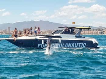 Fuengirola: Dolphin Watching by Yacht with Snacks and Drinks