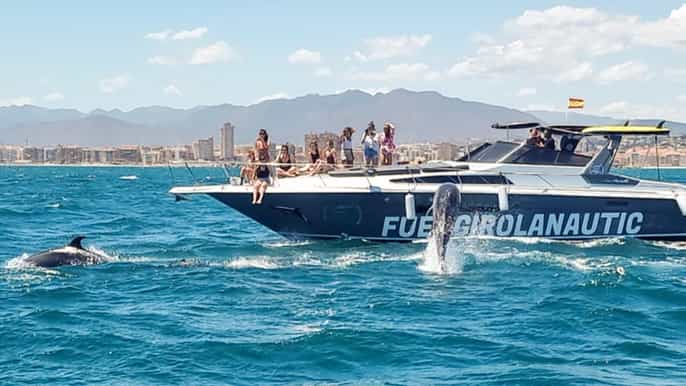 Fuengirola: Avistamiento de Delfines en Yate con Aperitivos y Bebidas