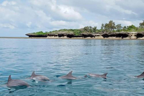 Wasini Island Tour For Dolphin Watching & Snorkeling