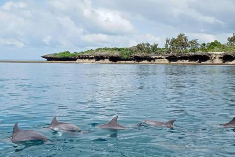 Wasini Island Tour For Dolphin Watching & Snorkeling