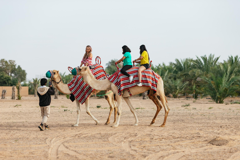 Dubai: Passeio de balão ao nascer do sol com passeio de camelo e café da manhã