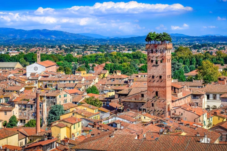 Lucca, Pisa en Livorno vanuit privéautotour door Florence