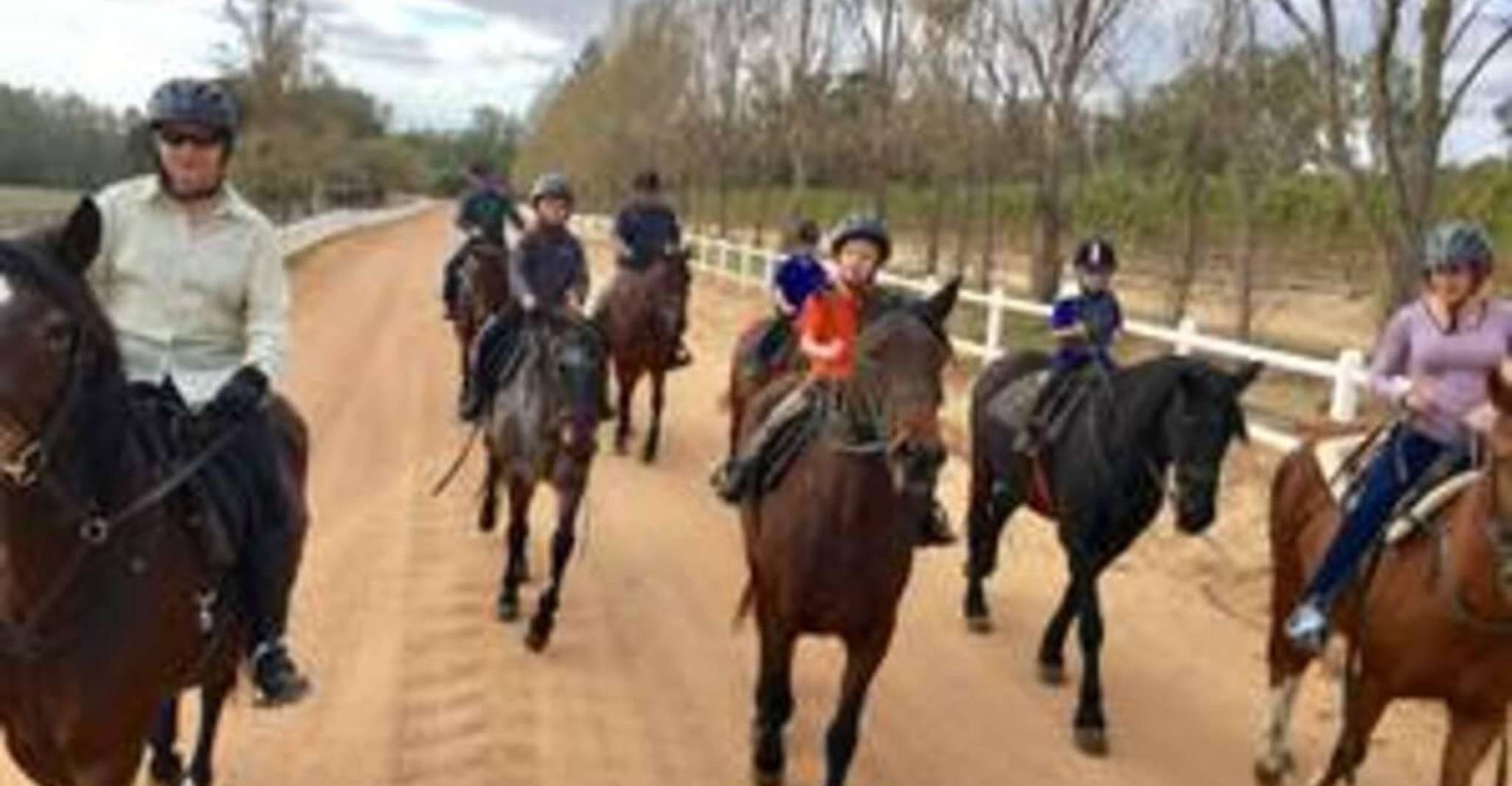 Vrede en Lust Wine Estate, 1h30m Horse Trail Ride - Housity