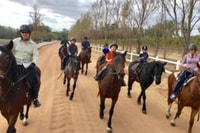 Vrede en Lust Wine Estate, 1h30m Horse Trail Ride - Housity