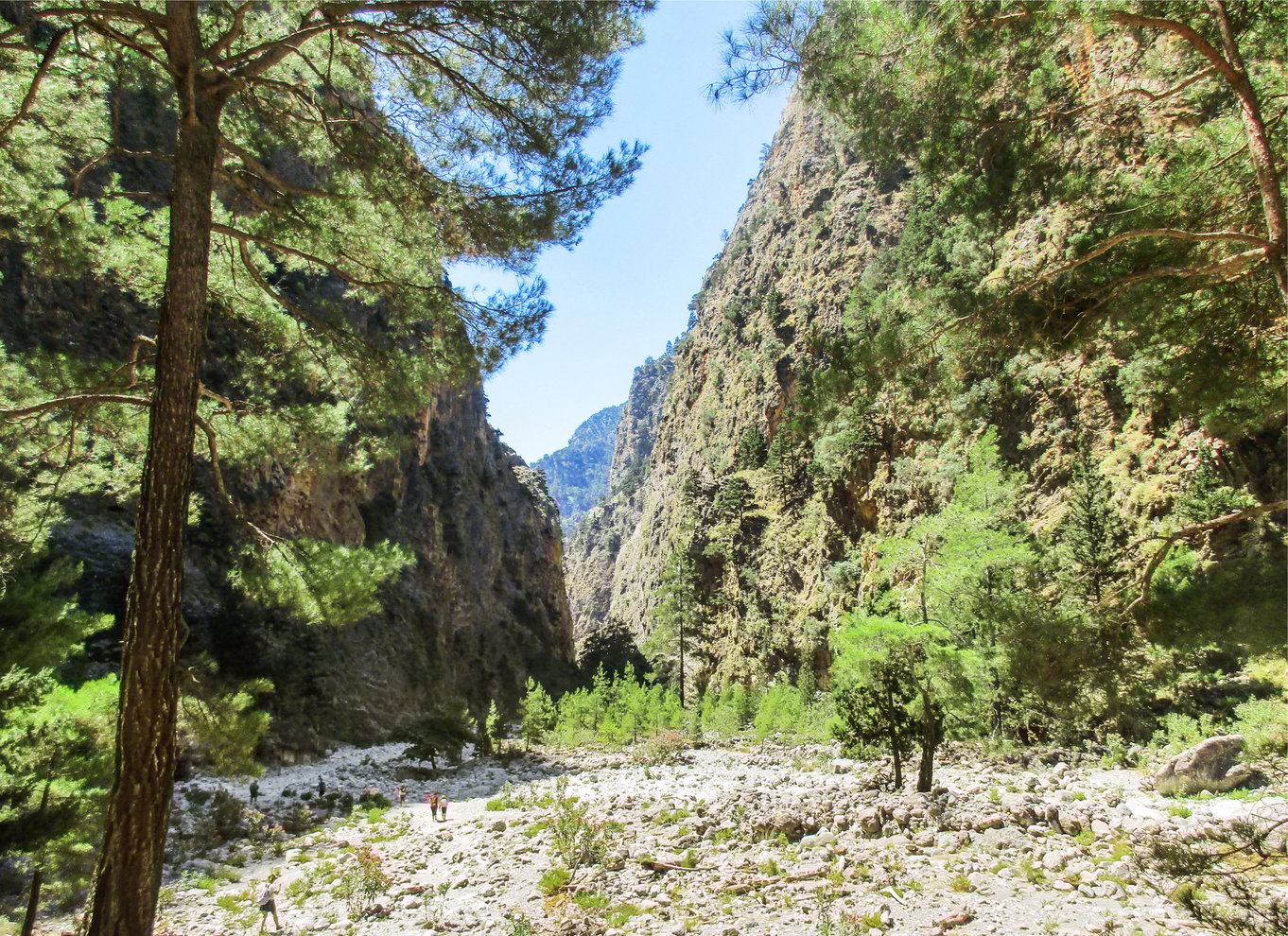 Fra Chania: Heldagsudflugt i Samaria-kløften med guide