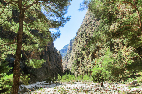 De Chania: Caminhada de 1 Dia à Garganta de SamariáDe Kalyves ou Almyrida