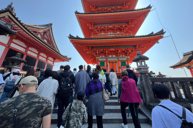 Kyoto: 3 patrimoni dell&#039;umanità UNESCO e tour di 1 giorno di Fushimi Inari