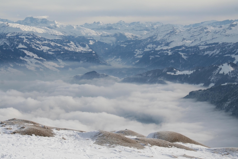 Szwajcaria: Prywatna jednodniowa wycieczka na sanki12-godzinna wycieczka całodniowa