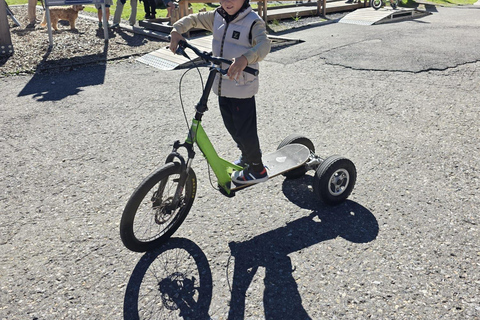 Lucerne: Alpine Playground, Monster Scooter, & Old Town Tour