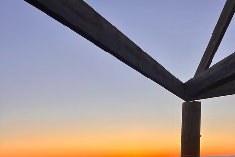 Oslo: Forest Hike with Panoramic Fjord Views and a dog