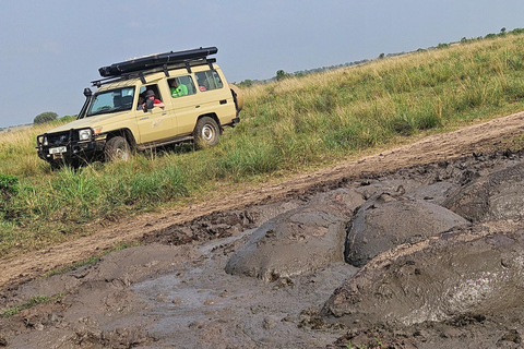 Kasese: 3 Day Queen Elizabeth Classic Safari & Boat Safari