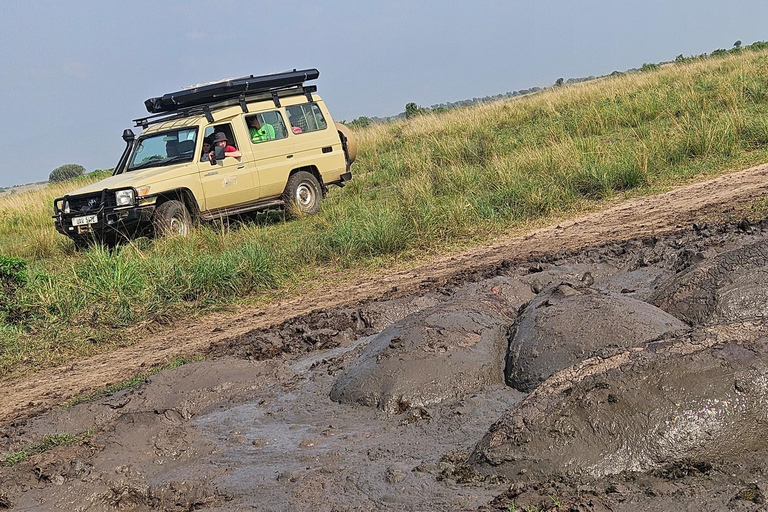 Kasese: 3 Day Queen Elizabeth Classic Safari & Boat Safari