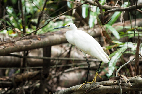 De kleine Amazone van Khao Lak: Dagtrip kano, trektocht en waterval