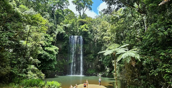 From Cairns: Atherton Tablelands and Paronella Park Day Trip