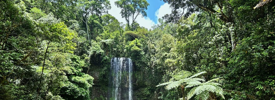 Depuis Cairns : Excursion d'une journée aux Tablelands d'Atherton et au parc de Paronella
