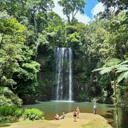 From Cairns: Atherton Tablelands and Paronella Park Day Trip