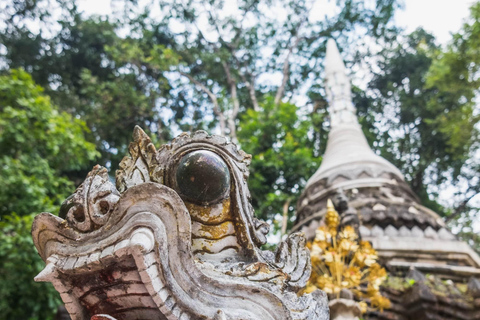 Chiang Mai: Doi Suthep, Wat Pha Lat & Sticky Waterfall TourChiang Mai: Doi Suthep-tempel en unieke kleverige waterval