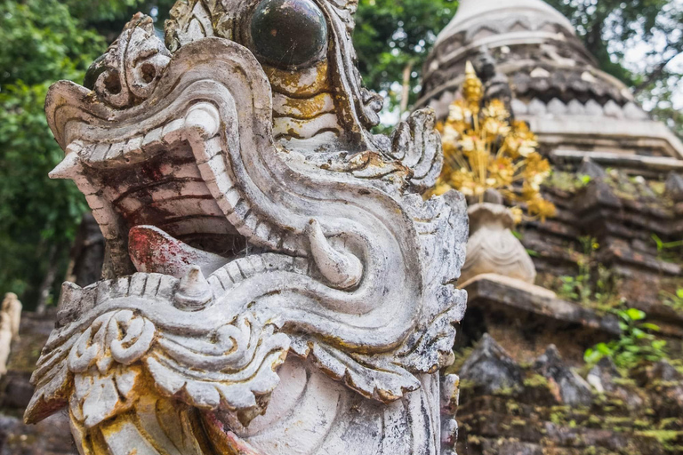 Chiang Mai: Doi Suthep, Wat Pha Lat & Sticky Waterfall TourChiang Mai: Doi Suthep-tempel en unieke kleverige waterval