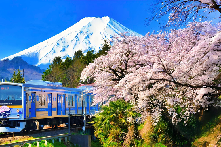 Mount Fuji Day Tour: Instagrammable Spots + Scenic Train From Tokyo (Including ropeway and cruise)