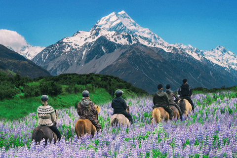 Wanaka: Scenic Horseback Riding Adventure