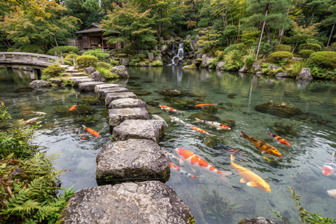 Nagoya: Castle, Samurai History & Tokugawa Art Museum