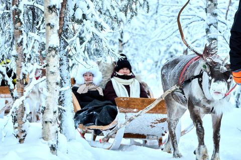 Levi: Reindeer Sleigh Ride 1.5km In Magical Forest