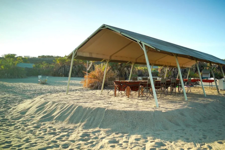 Nairobi: 7-Day Lake Turkana Safari with Tented Camps7-day Unforgettable Expedition to Turkana National Park.