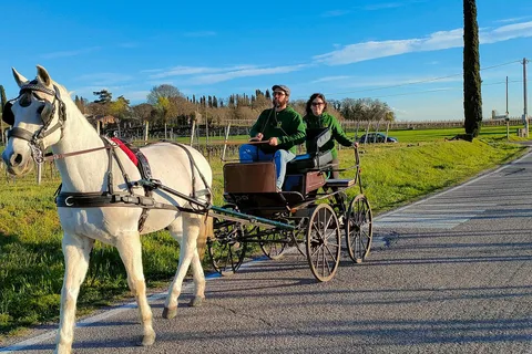 Lazise: passeio de carruagem a cavalo com degustação de produtos locais