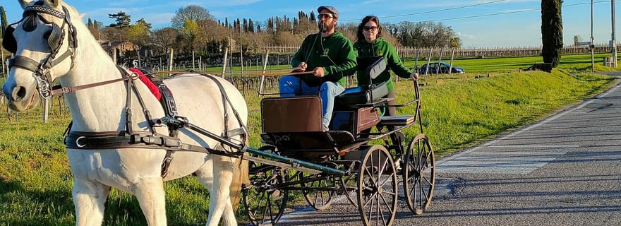 Lazise : promenade en calèche avec dégustation de produits locaux