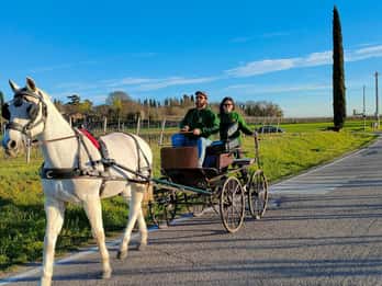 Lazise: paardenkoets tour met proeverij van lokale producten