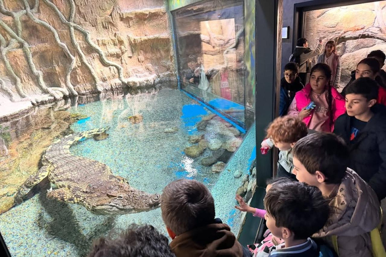 Baku: Baku Zoo Guided Tour with Hotel Pickup