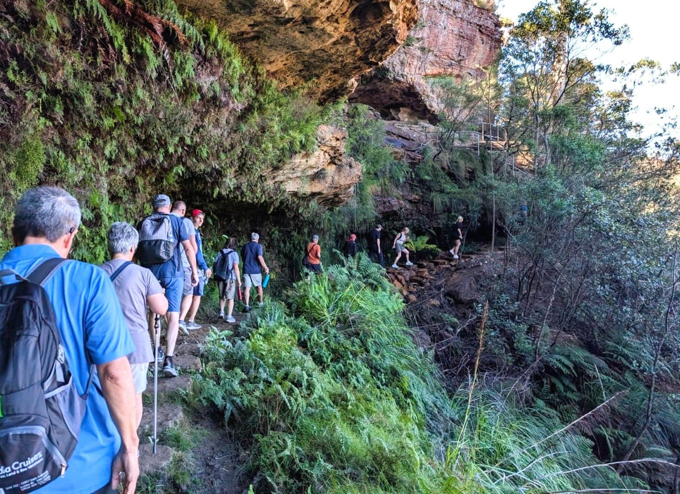 Sydney: Waterfall Bushwalk og Blue Mountain Sunset Day Trip