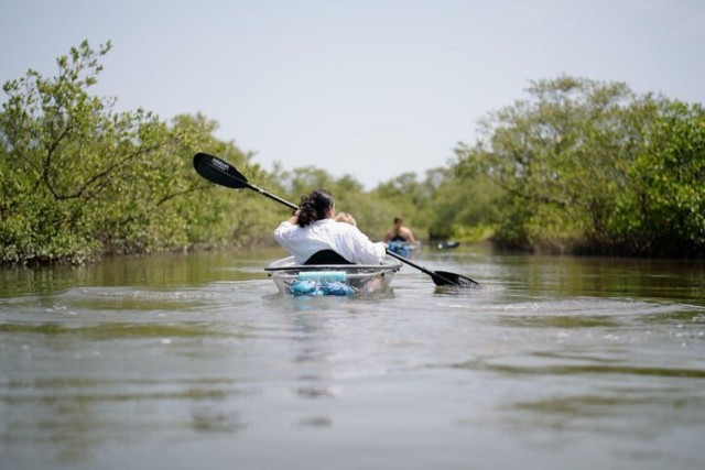 Visit New Smirna Beach Clear Kayak Eco-Tour in Divito Park in Jupiter, Florida