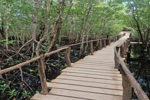 Zanzíbar: Excursión al Bosque de Jozani y a la Granja de Especias con almuerzo