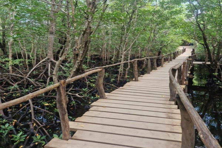 Zanzíbar: Excursión al Bosque de Jozani y a la Granja de Especias con almuerzo