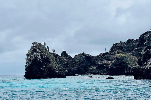 Desde Pto Ayora: Excursión de un día a Floreana y Punta CormoránDesde Pto Ayora: Excursión de un día a la parte deshabitada de Floreana